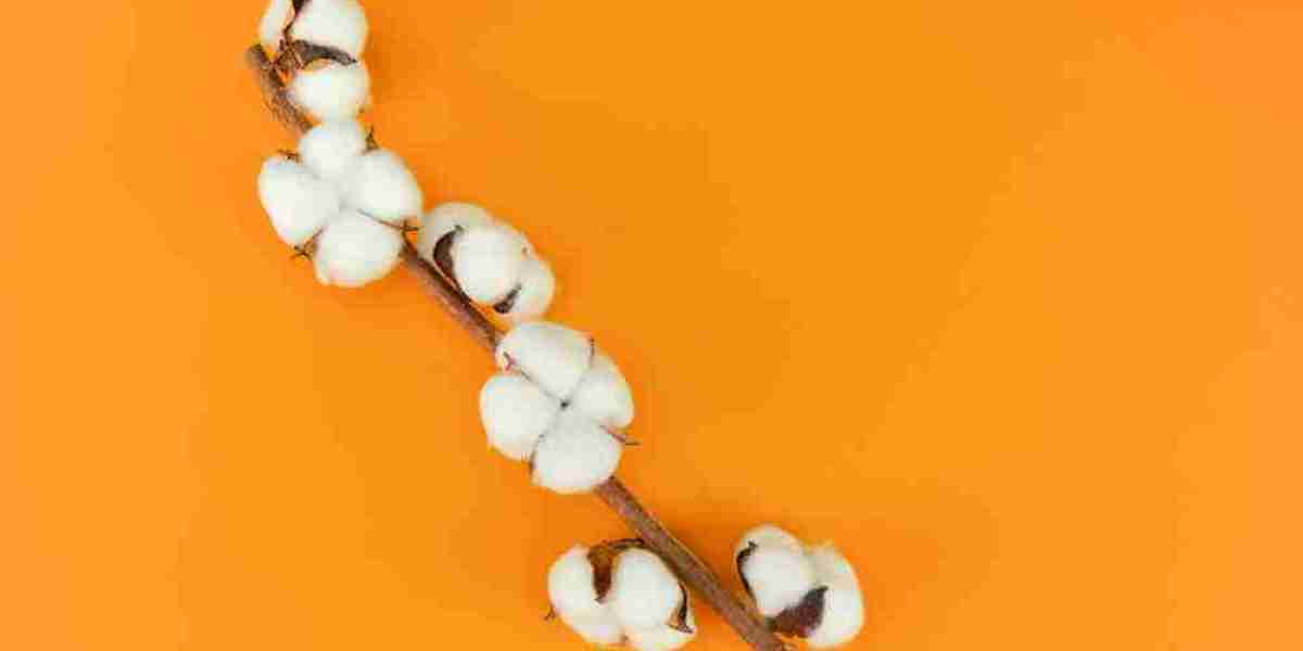 How Reliable Are Predictions for Future Cotton Prices?