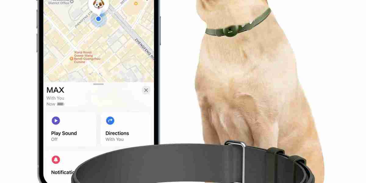 Pet GPS Tracker Market Size, Share, Regional Overview and Global Forecast to 2032