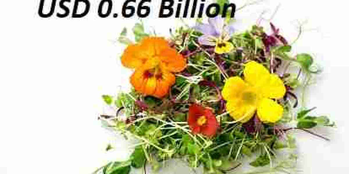 Spain Edible Flowers Market Share, Segmentation of Top Companies, and Forecast 2032
