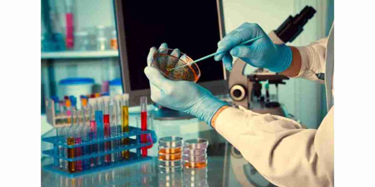 Virology Specimen Collection Market Forecast to 2031: How it is going to Impact on Global Industry to Grow in Near Futur