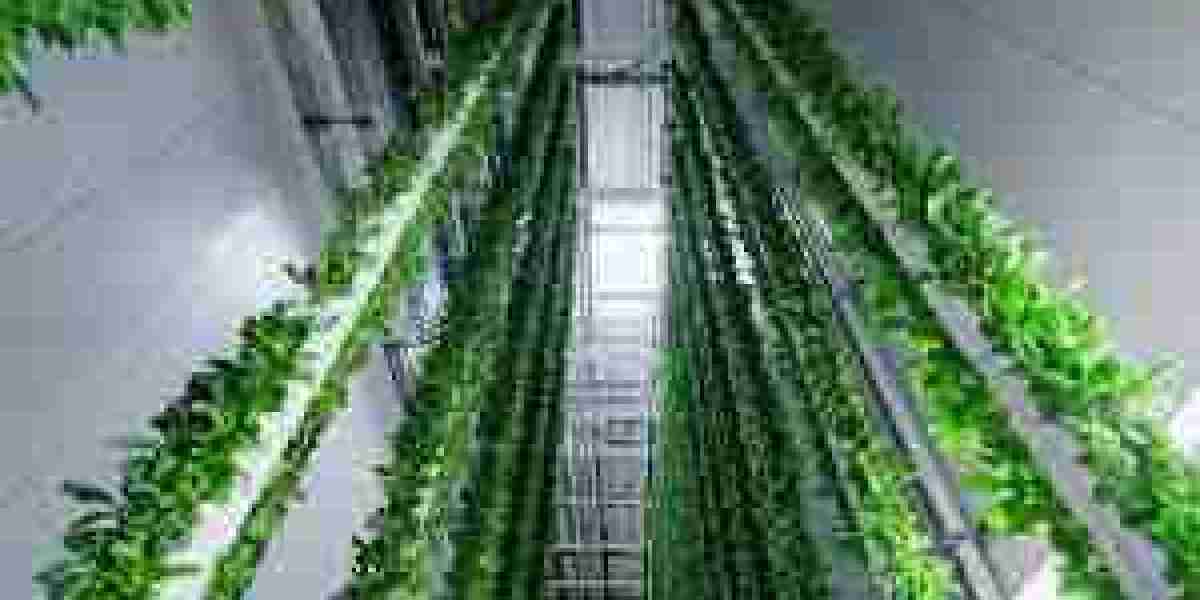 Vertical Farming Technology Market is Set To Fly High in Years to Come