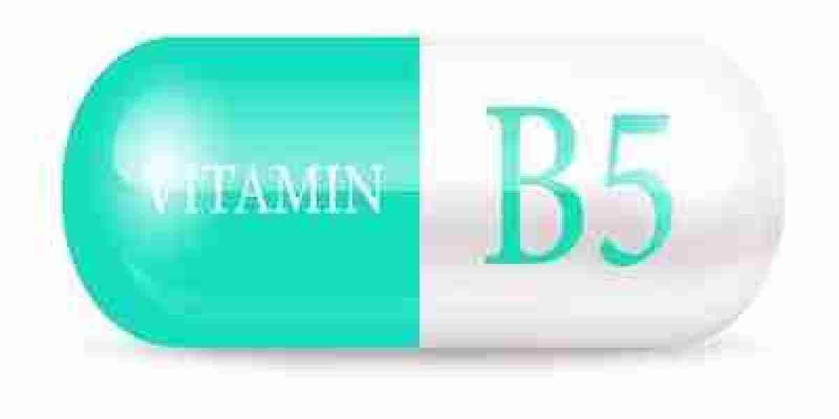 Vitamin B5 Prices Trend, Price, Database, News, Index, Chart, Forecast