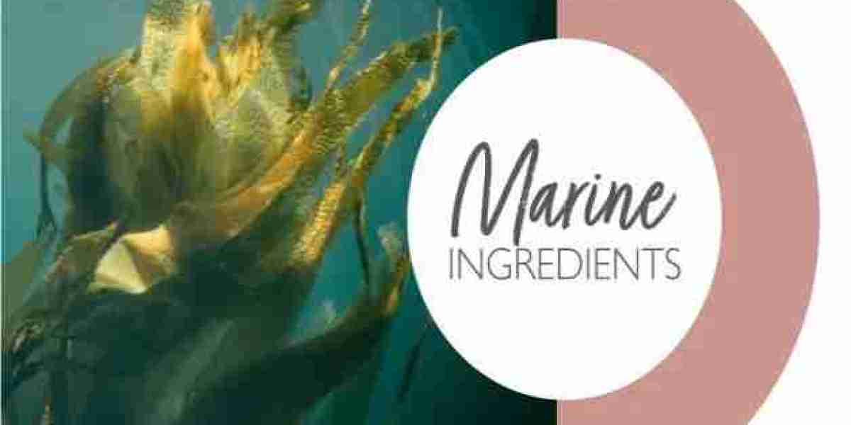 Marine Ingredients Market Demand Analysis, Statistics, Industry Trends And Investment Opportunities To 2032
