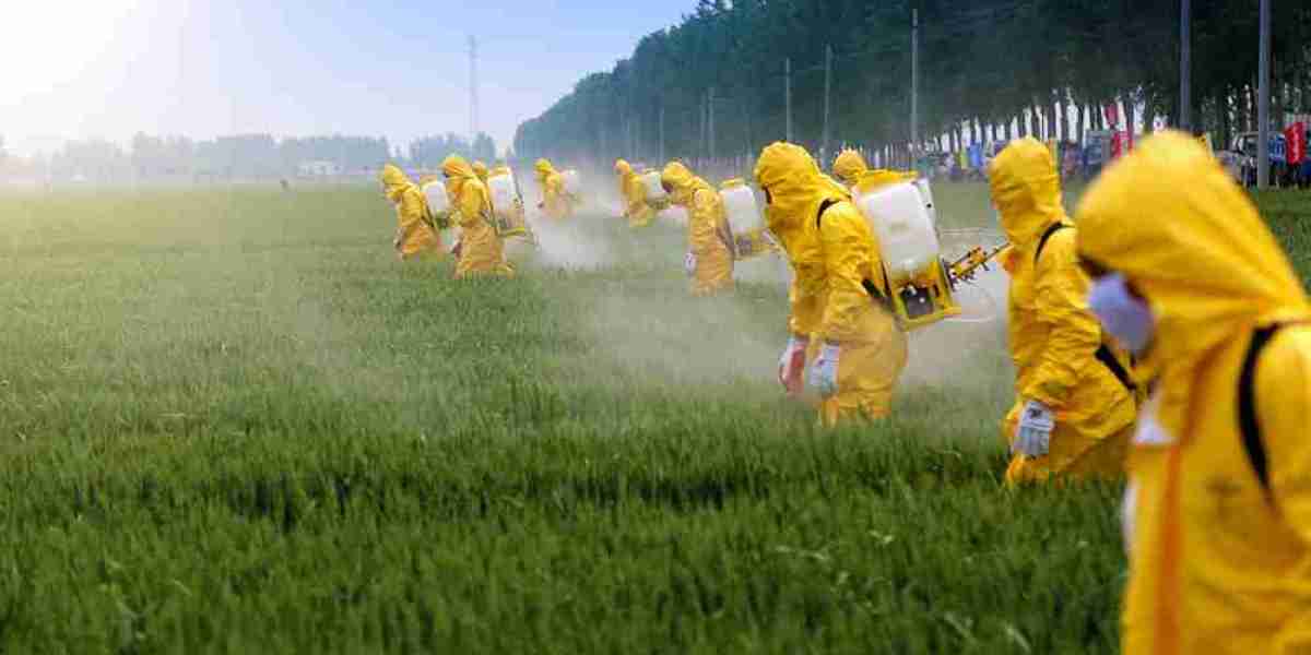United States Crop Protection Chemicals Market Size, Report, 2024-2032: Share, Demand, & Forecast