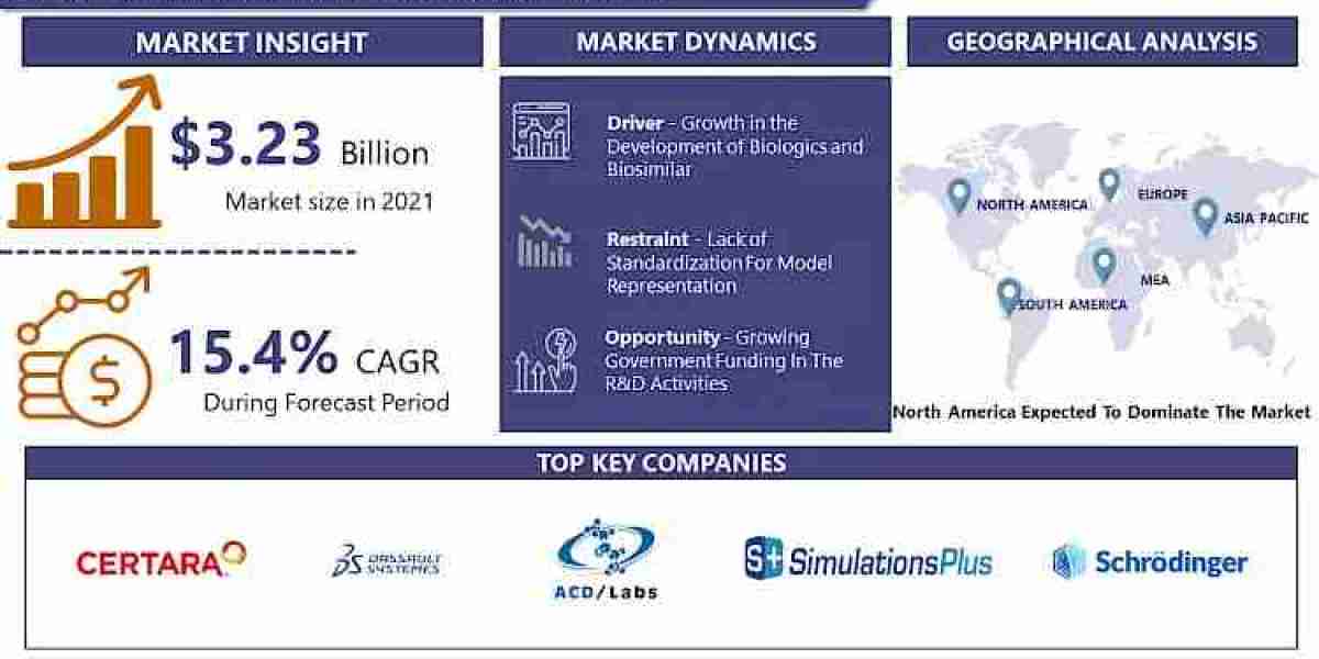 Biosimulation Market: The Biosimulation Market to Be Driven By Neurotechnology