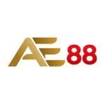 AE88 infolink