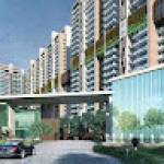 Mohali Projects Chandigarh