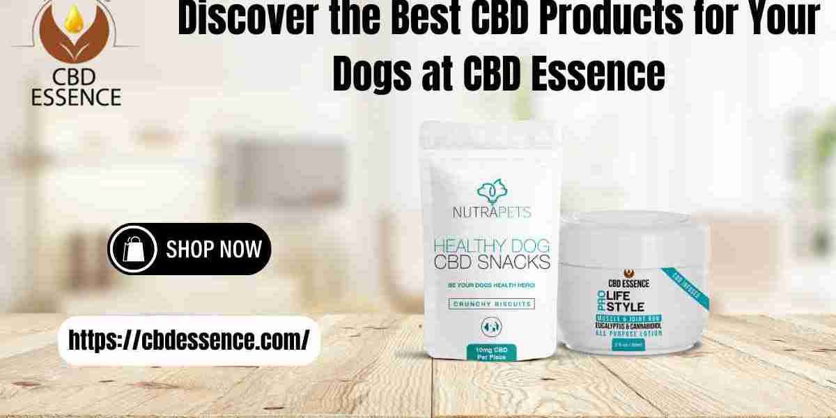 Discover the Best CBD Products for Your Dogs at CBD Essence