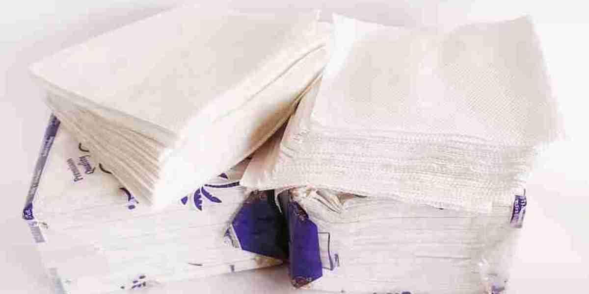 Africa Tissue Paper Market Share, Industry Size, Trends 2024-32