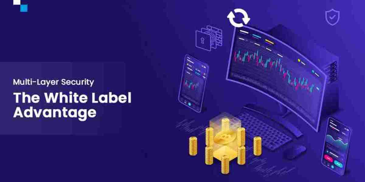 How White Label Cryptocurrency Exchange Ensure Robust Security?