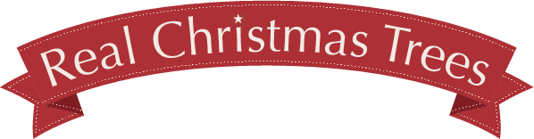 Santa Sacks, Stockings, & Stocking Fillers | Christmas Shop