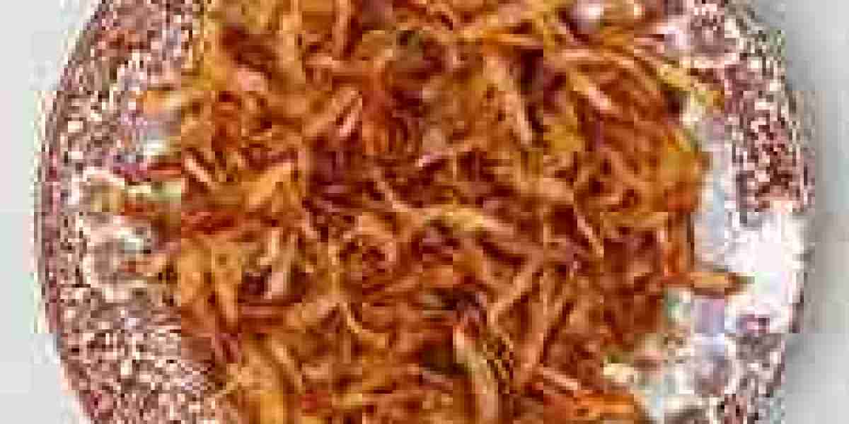 Fried Onion Market Growth Trends Analysis and Dynamic Demand, Forecast 2024 to 2032