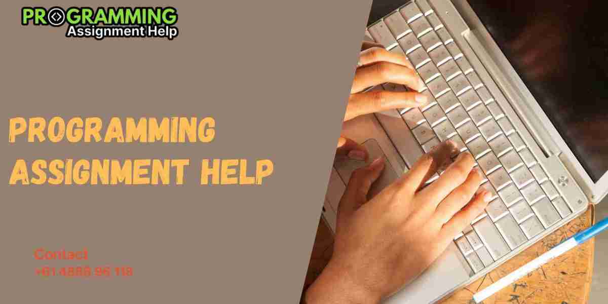 Get Expert Assistance from the Best Programming Assignment Help Website