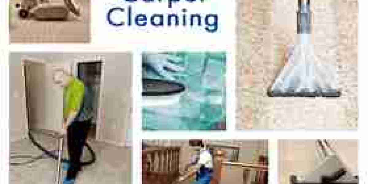 How to Choose the Right Carpet Cleaning Frequency in Brooklyn