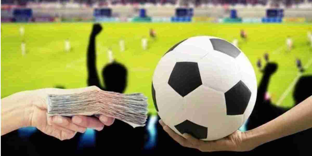 Cá cược bóng đá và những sân chơi trực tuyến uy tín