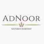 Adnoor Inc