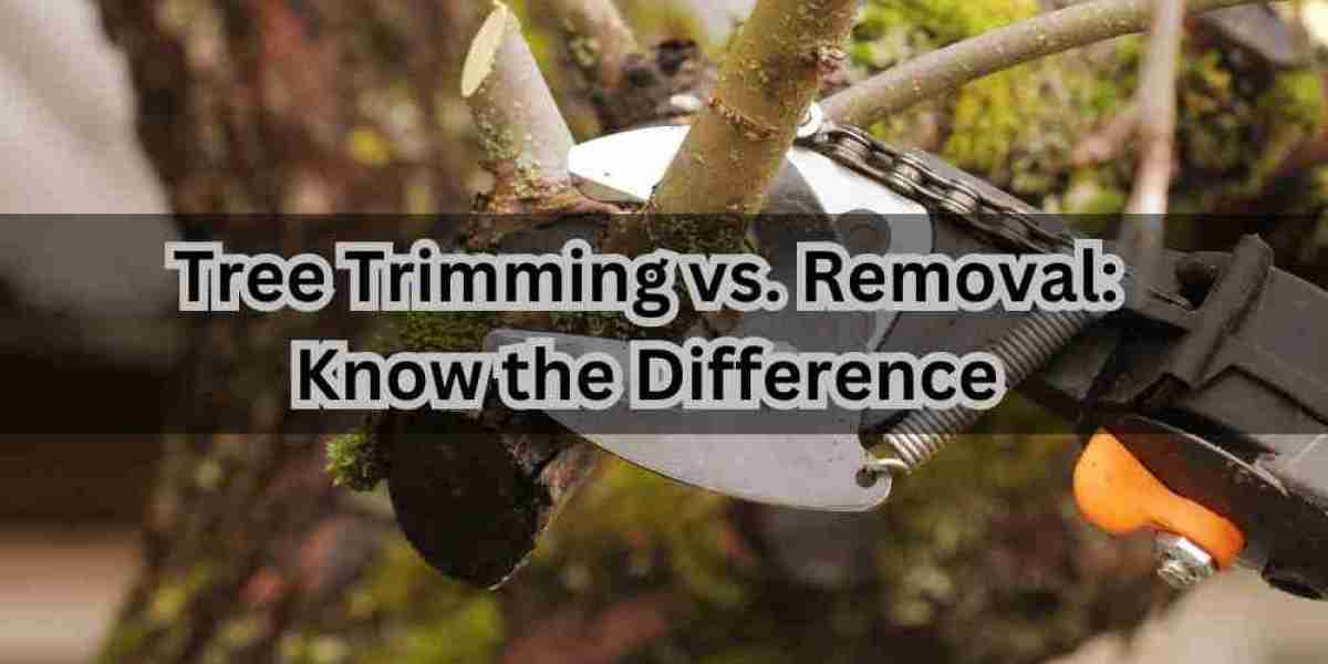 Tree Trimming vs. Removal: Know the Difference