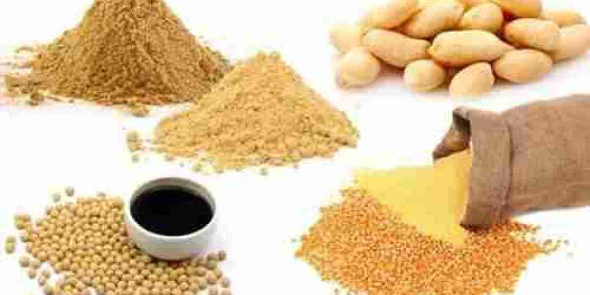 Hydrolyzed Vegetable Protein Market 2023 Major Key Players and Industry Analysis Till 2032