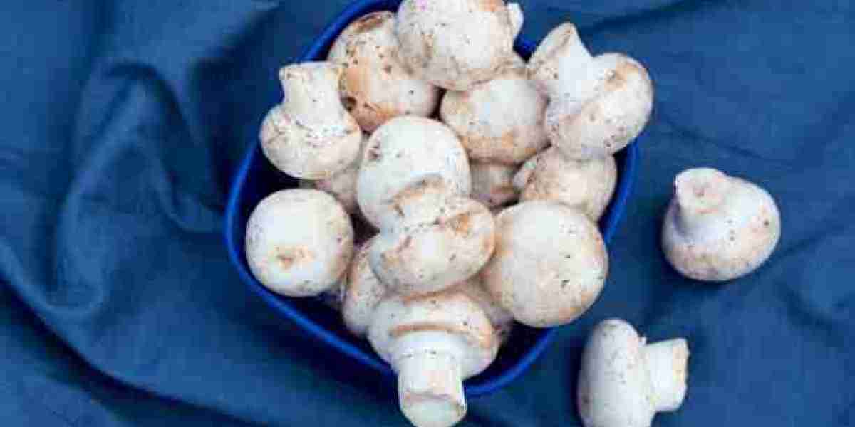 France Edible Mushroom Market Revenue, Growth, Top Companies, Regional Overview with Forecast