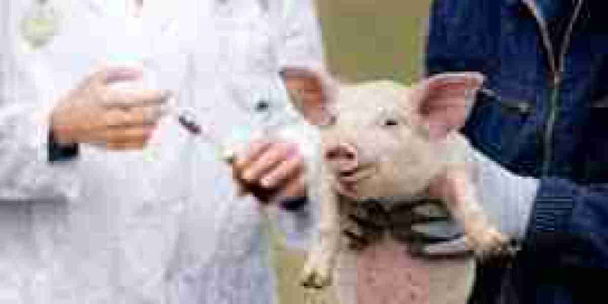Swine Healthcare Market Insights, Status And Forecast to 2030