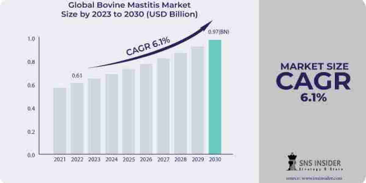 Exploring the Bovine Mastitis Market Size: Key Insights and Forecasts