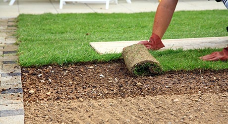 Top Tips for Choosing Sydney Lawn And Turf Solutions | TechPlanet