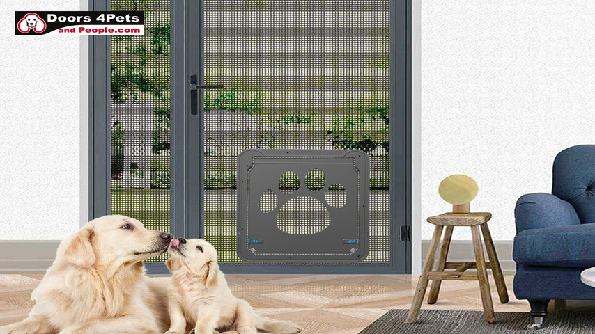 French Doors With Doggie Door | Style & Convenience Combined - Vooinc