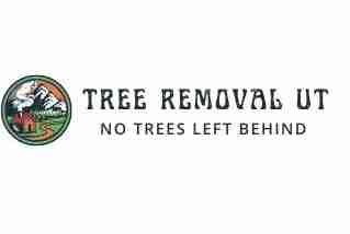 Tree RemovalUT