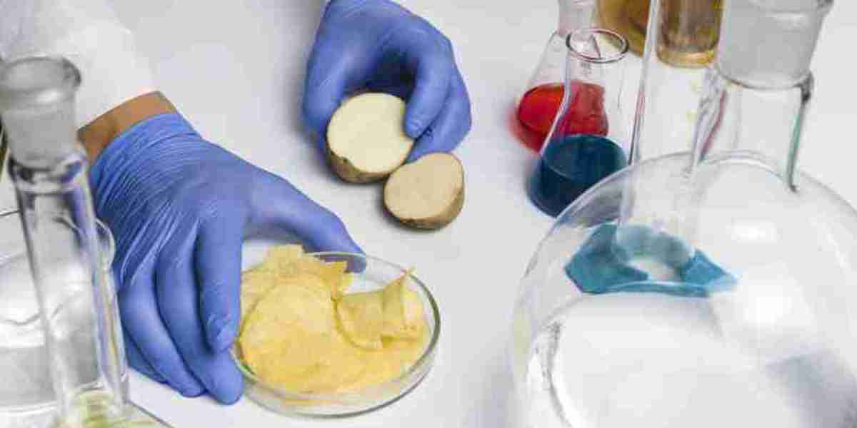 Food Safety Testing Market Growth, Trends, Key Players, and Forecast 2024-2032