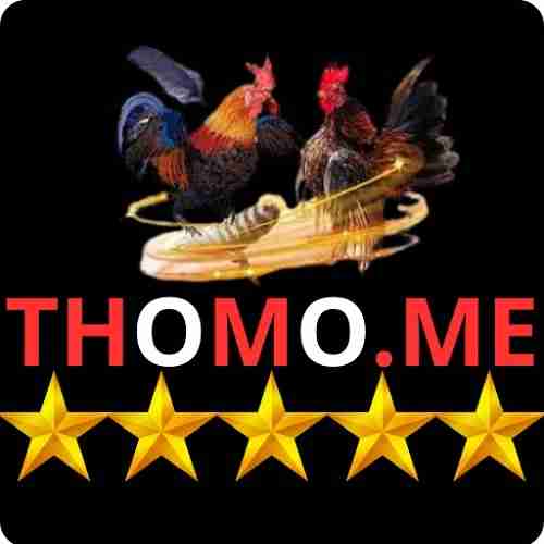 ĐÁ GÀ THOMO