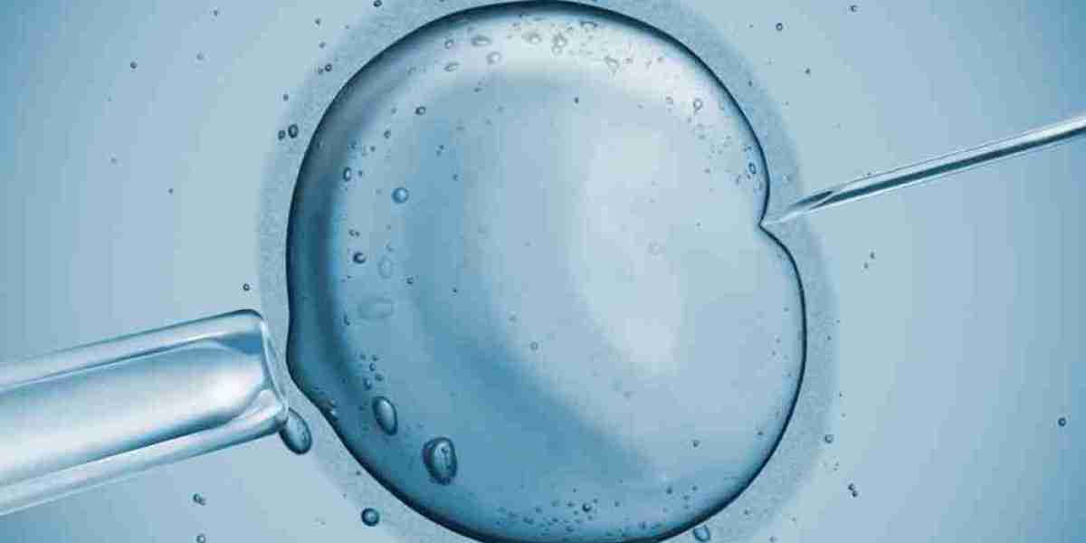 Unlocking IVF Success: The Critical Role of Egg Quality in Fertility