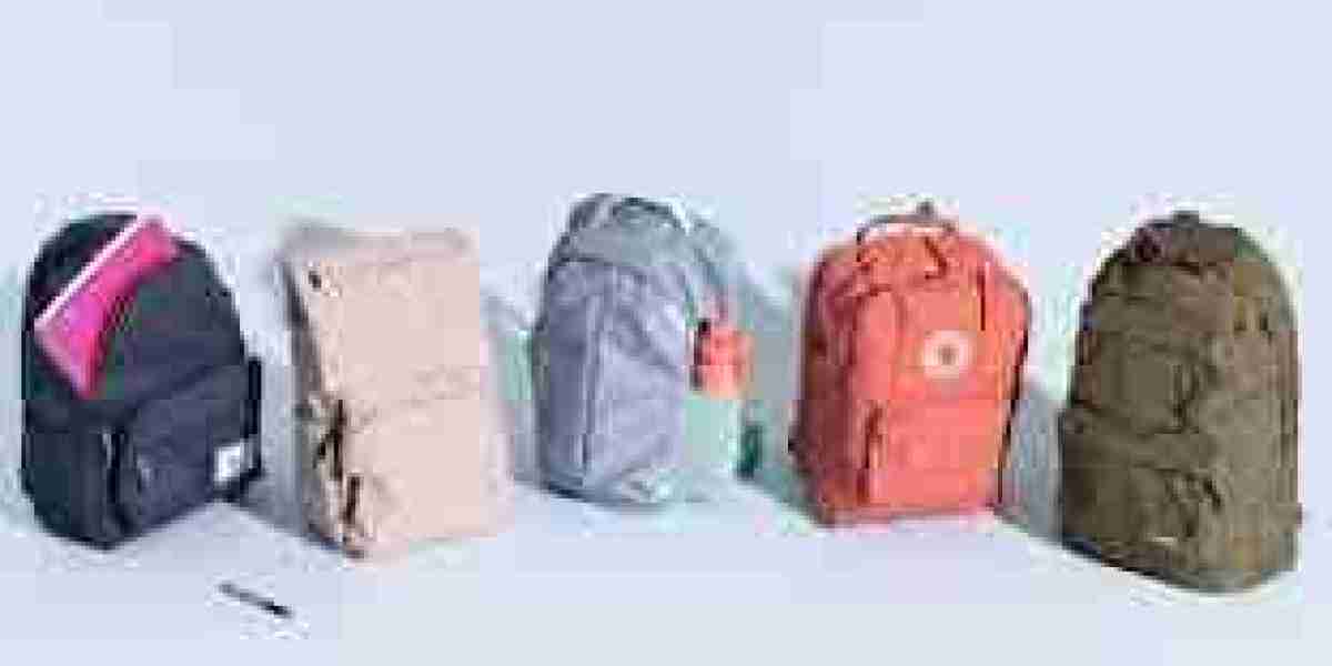 Backpack Market: Intense Competition but High Growth & Extreme Valuation
