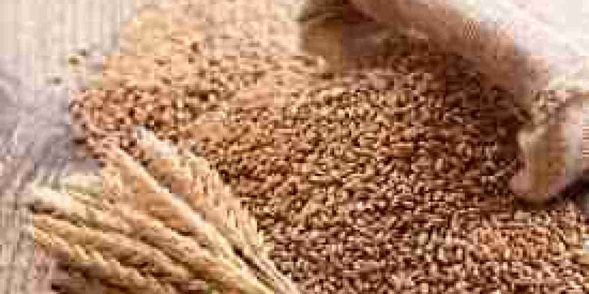 Spring Wheat Seed Market to see Booming Business Sentiments