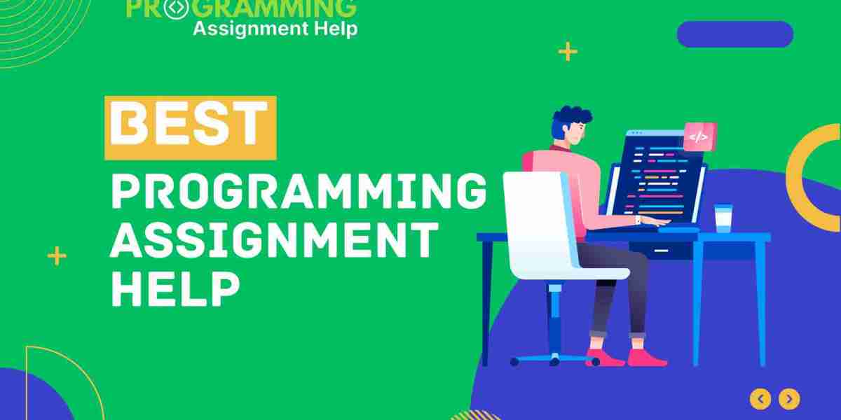 Why Students Seek Programming Assignment Help