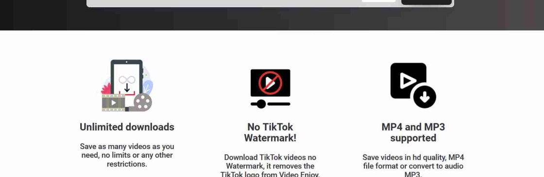 SnapTik TikTok Video And Mp3 Downloader Without Watermark