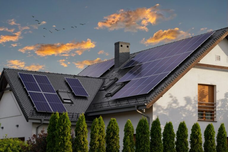 solar panel removal and install cost » Tadalive - The Social Media Platform that respects the First Amendment - Ecommerce - Shopping - Freedom - Sign Up