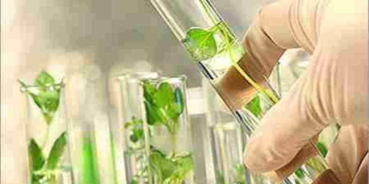 Hydroglycolic Extract Market Size, Industry Research Report 2023-2032