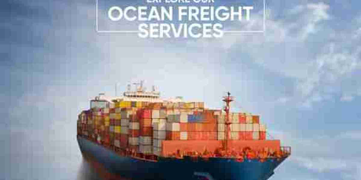 Reliable Hawaii Auto Shipping Companies | JNR Global Logistics