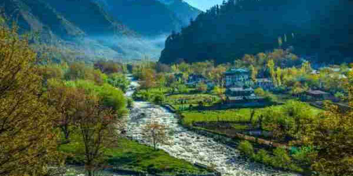 Kashmir Tour Packages in August 2024