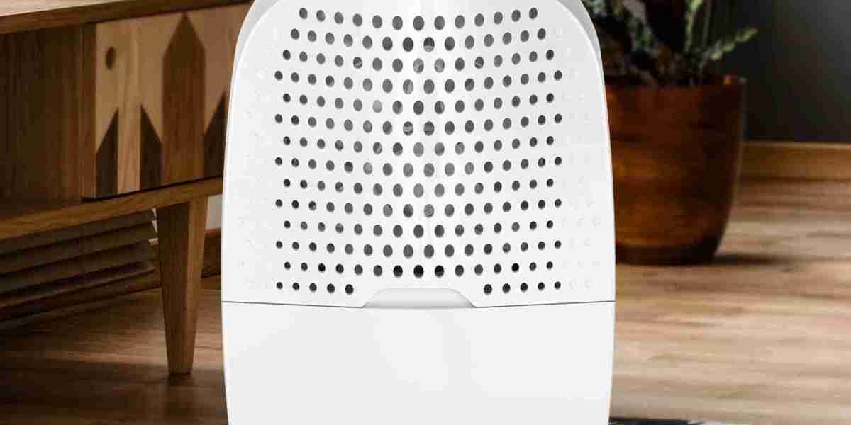 Energy-Efficient Dehumidifier: A Must-Have for a Healthy Home