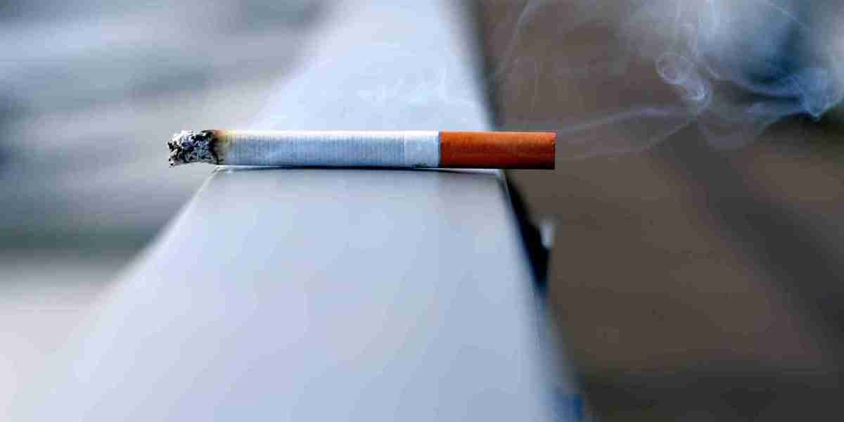 Southeast Asia Cigarette Market Share, Industry Size, Forecast 2024-32