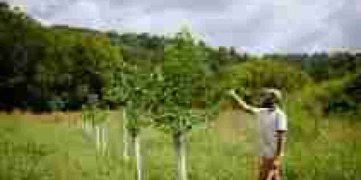 Global Agroforestry Market Size, Share, and Forecast 2023 - 2033