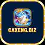 biz caxeng