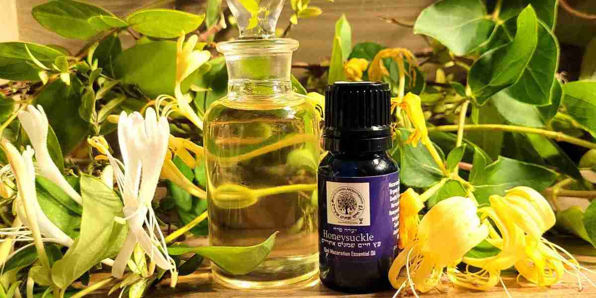 Honeysuckle Essential Oil Market Size, Growth & Industry Research Report, 2032