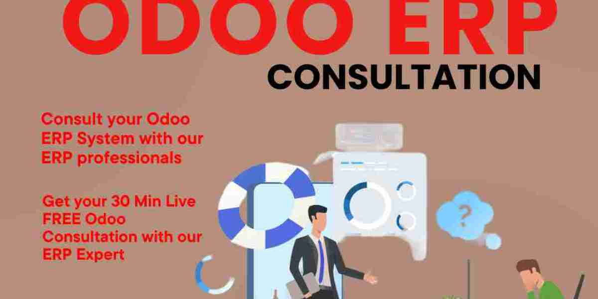 Odoo ERP Consultation | Transines Solutions