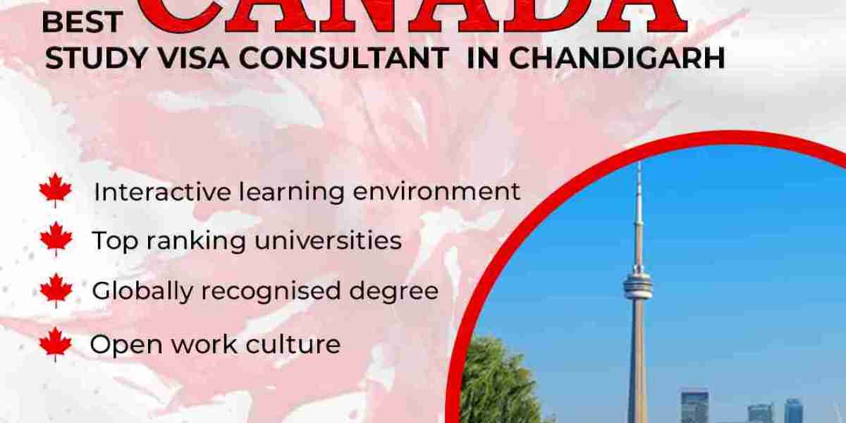 Who is the top consultant for obtaining a student visa in Canada?