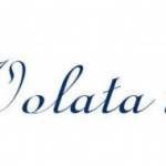 Volata Travels  Events