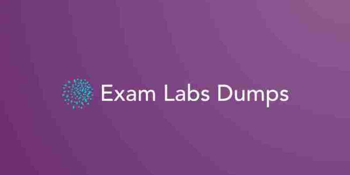 How to Choose Reliable Exam Labs Dumps for Your Exam