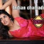 Indian Chamadi