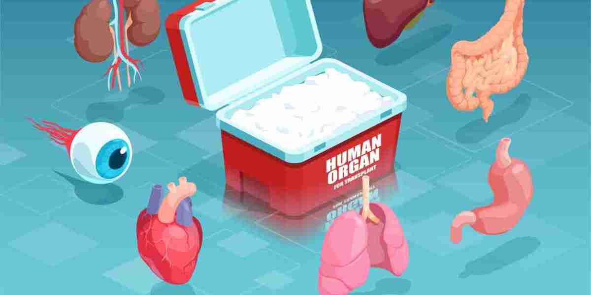 Transplant Box Market Size, Share, Regional Overview and Global Forecast to 2032